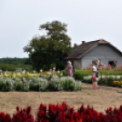 Együttműködésbe kezdett a csemői Marosi Faiskola és a Nemzeti Agrárkutatási és Innovációs Központ