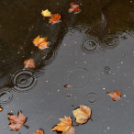 Augusztus 20-i hangulatok