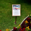 Kovács Zoltánra emlékeztek Csemőben