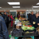 Márton napi felvonulás