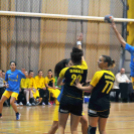 Ceglédi Kék Cápák – Danuke 22 – 31 ( 10 – 13 )