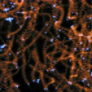 MAFOSZ kiállítás képei