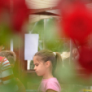 Rózsák Hétvégéje - Oázis Kertészeti Áruház