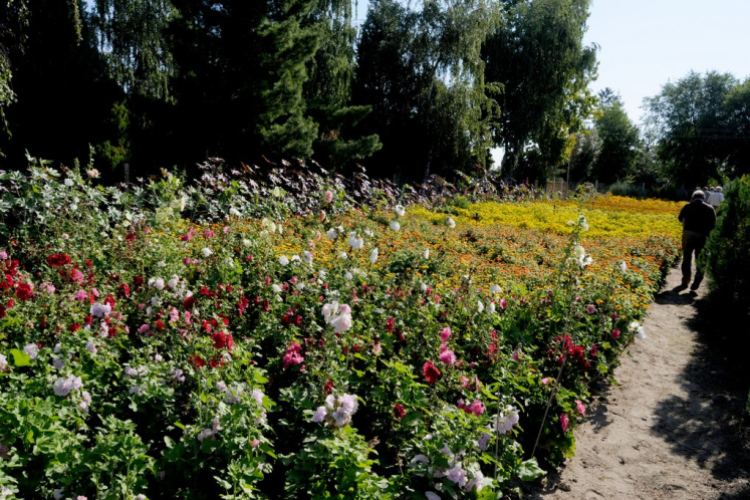 Színpompás bemutató