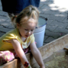 Együtt nap Cegléden