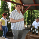 Városi Nyitott Pince Napok 2013