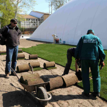 Füvesítik a strandot