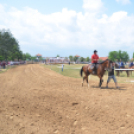 Bor és laskafesztivál - II