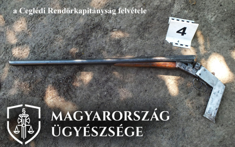 A kutya helyett a gazdáját találta el