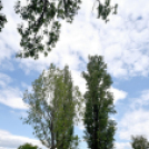 Átadásra került a pumpapálya