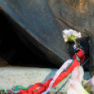 Gyerekek munkái - Március 15