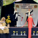 Augusztus 20-i ünnepség