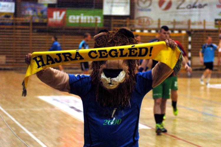 Ceglédi KKSE – B.Braun Gyöngyös: 33-24 