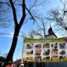 Virágvásár és főzőfesztivál Csemőben