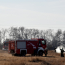 Száraz növényzet égett