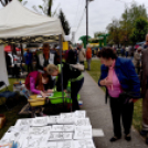 Anyámtyúkja - Csemő