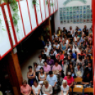 Gyógypedagógiai szakmai nap