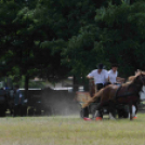 Laska fesztivál - szombat délelőtt