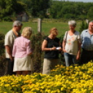 Színpompás bemutató