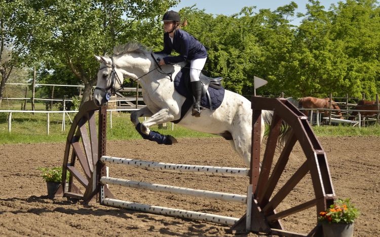 Hírek a Füle Tanya háza tájáról