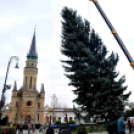 Felállították a város karácsonyfáját