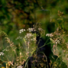 ,,Tudom e mérni a mérhetetlent’’