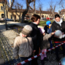 Feldíszítették a város karácsonyfáját