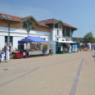 Bor és laskafesztivál - I