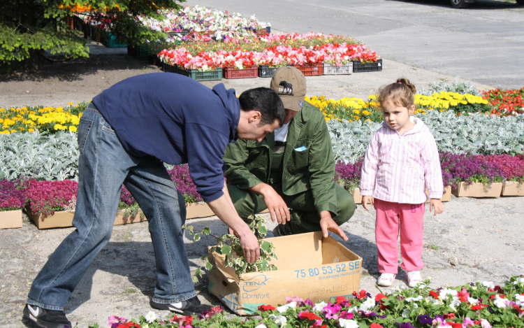 Virágokkal, szebb Ceglédért