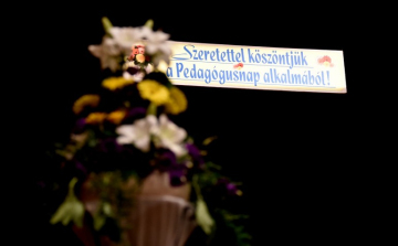 Felhívás Cegléd Város Pedagógiai Díj adományozására