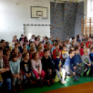 Hangszeres csalogató