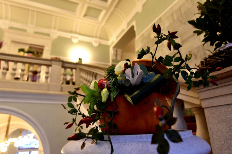 A legszebb kerteket, balkonokat és rajzokat díjazták