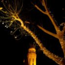 🎄 Ceglédi Advent képekben 🎄