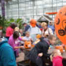 Családi tökfaragás az Oázis Kertészetben