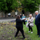 Ments meg egy árvácskát!