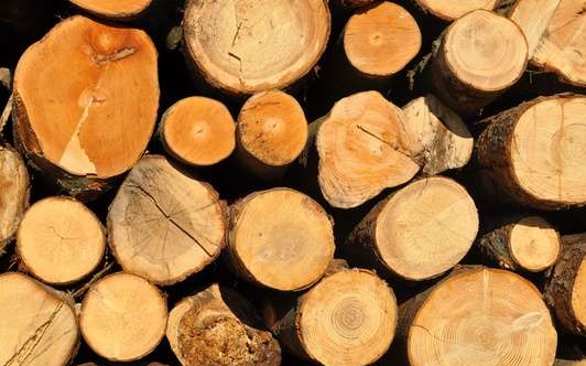 Ismét megjelentek a tűzifa nepperek 