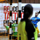 Ceglédi Kék Cápák – Danuke 22 – 31 ( 10 – 13 )