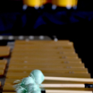 Nemzetközi Emlékkoncert a Dobmúzeumért