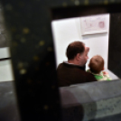 Kiállítottak a Ceglédi Alkotók