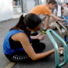 CIÖK kerékpártároló festés