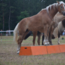 A lovak nyelvén – Hamza Viktória
