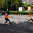 RENDŐRSÉGI NYÍLT NAP