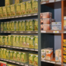 Rákóczi Ferenc a ceglédi Herbáriában