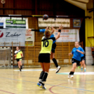 Ceglédi Kék Cápák - Euronovex USE