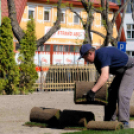 Füvesítik a strandot