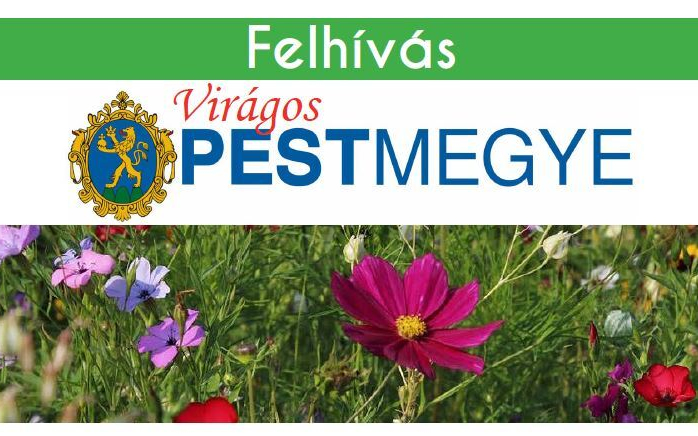 Pest megye legszebb kertjeit keressük