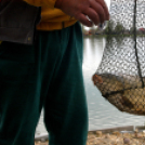 Éhmann Ferenc Emlék Kupa