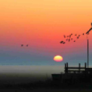 MAFOSZ kiállítás képei