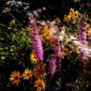 Telefonfotók - Ceglédi hangulatok