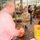 Családi tökfaragás - Oázis Kertészeti Áruház